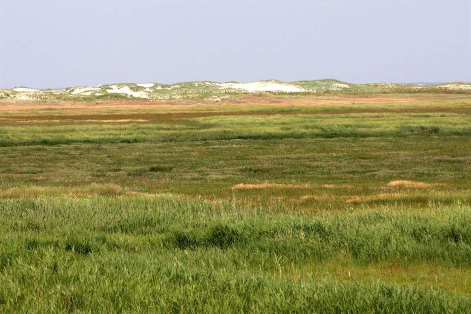 Ferienwohnung-Soltau-1-Og-Rechts Sankt Peter-Ording Buitenkant foto